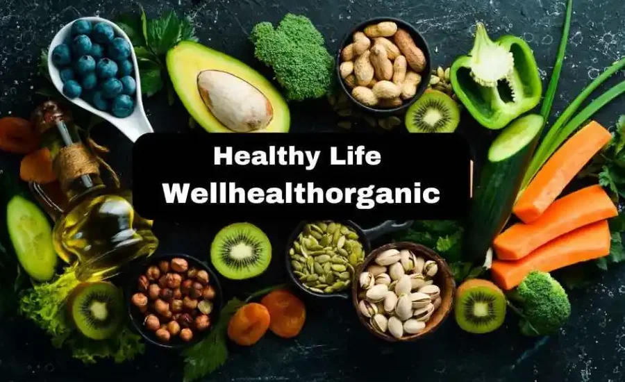 WellHealthOrganic