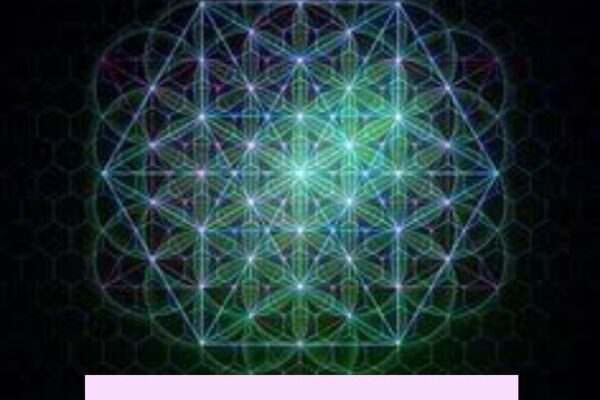 net harmony unity nhu