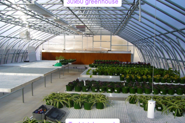 30×60 Greenhouse: Ultimate Guide for Growers 30x60 greenhouse